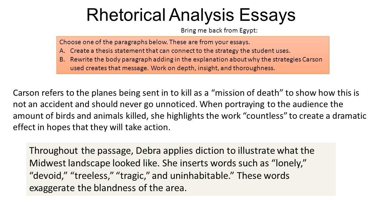 A Modest Proposal Rhetorical Analysis Essay Sample